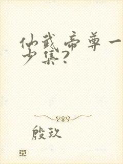 仙武帝尊一共多少集?