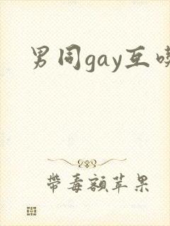男同gay互吃