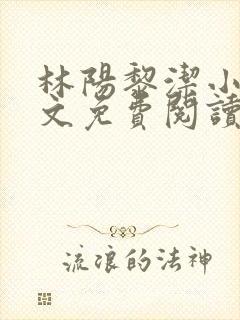 林阳黎洁小说全文免费阅读最新章节