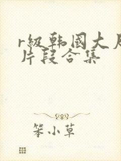 r级韩国大尺度片段合集封面