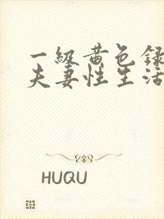 一级黄色录像,夫妻性生活