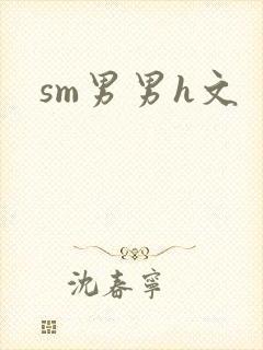 sm男男h文