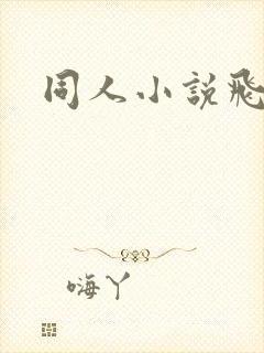 同人小说飞卢