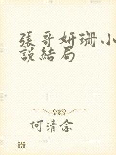 张哥妍珊小王小说结局