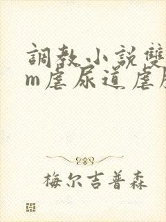 调教小说双男sm虐尿道虐膀胱