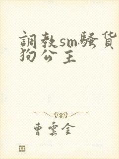 调教sm骚货母狗公主