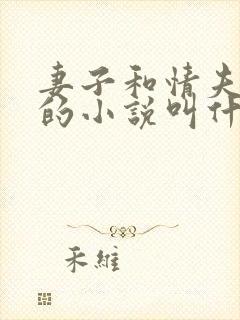 妻子和情夫小周的小说叫什么名字