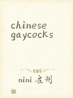 chinesegaycocks