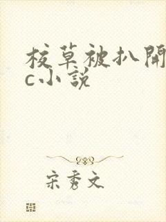 校草被扒开腿狂c小说