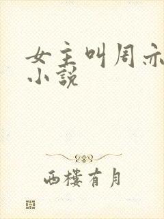 女主叫周亦清的小说