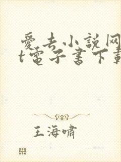 爱去小说网txt电子书下载