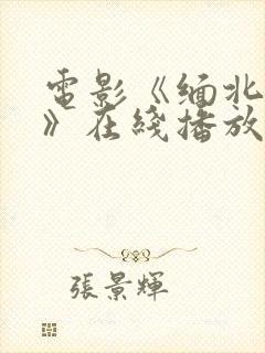 电影《缅北恶魔》在线播放