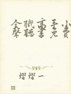 全职高手小说有声听书免费封面