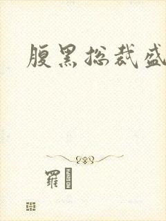 腹黑总裁盛宠妻