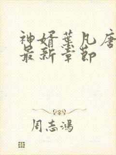 神婿叶凡唐若雪最新章节