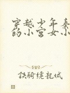 穿越少年秦始皇的小宫女小说