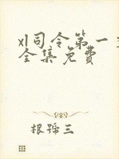 xl司令第一季全集免费