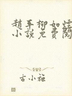 赵平柳如烟穿越小说免费阅读封面