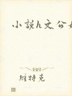 小说h文公媳