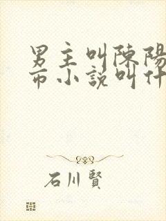 男主叫陈阳的都市小说叫什么