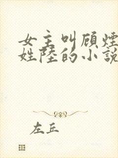 女主叫顾烟男主姓陆的小说