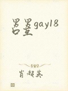 男男gay18口互