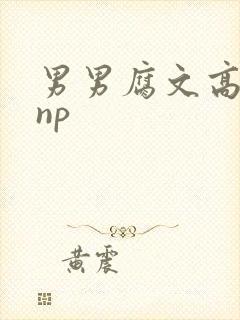 男男腐文高h肉np