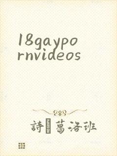 18gaypornvideos封面
