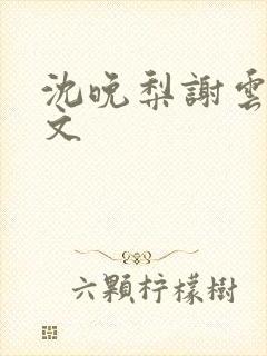 沈晚梨谢云迟全文封面