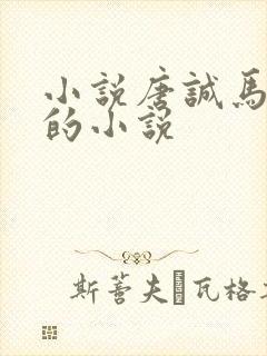 小说唐诚马玉婷的小说