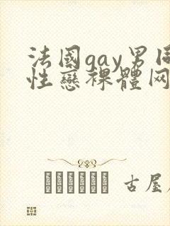 法国gay男同性恋裸体网址封面