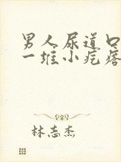 男人尿道口起了一堆小疙瘩