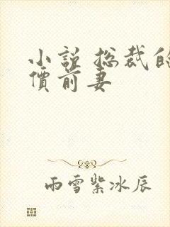 小说 总裁的天价前妻