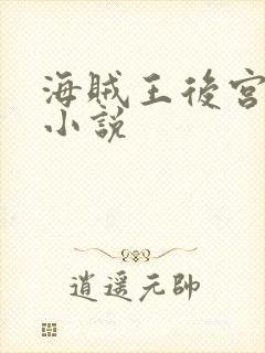 海贼王后宫同人小说封面