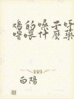 鸡的嗓子呼噜呼噜喂什么药好封面