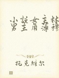 小说女主林恩恩男主角薄穆寒的小说封面