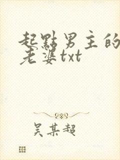起点男主的笨蛋老婆txt