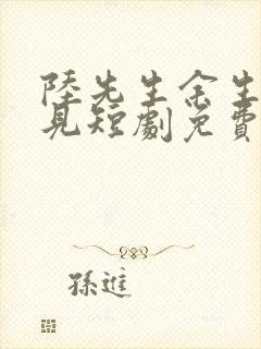 陆先生余生不再见短剧免费观看全集