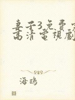 妻子3免费完整高清电视剧在线观看,