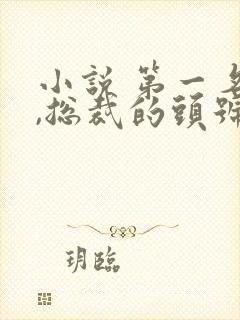 小说 第一名媛,总裁的头号新妻