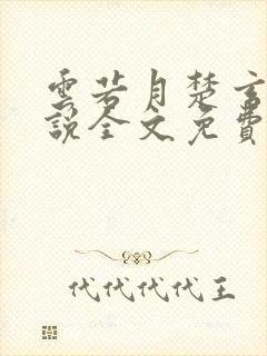 云若月楚玄辰小说全文免费阅读