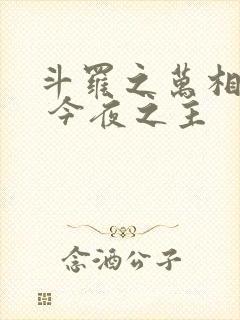 斗罗之万相斗罗 今夜之主