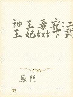 神王毒宠:二嫁王妃txt下载