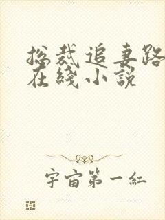 总裁追妻路漫漫在线小说