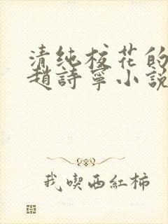 清纯校花的堕落赵诗宁小说全文免费