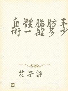 自体脂肪丰胸手术一般多少钱啊