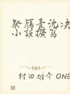 祭雁青沈决同人小说扩写