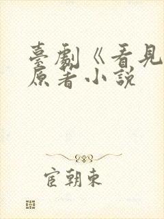 台剧《看见爱》原著小说