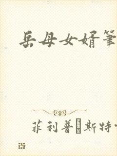 岳母女婿笔趣阁封面