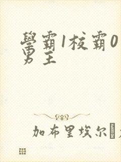 学霸1校霸0双男主封面